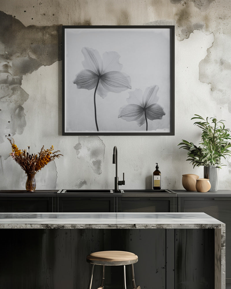 Anemone hupehensis - Poster / Art Print - interiör
