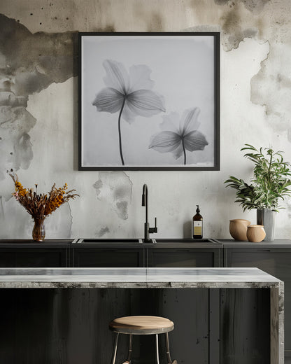 Anemone hupehensis - Poster / Art Print - interiör