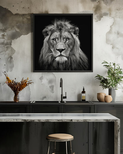 Young Male Lion - Poster / Art Print - interiör