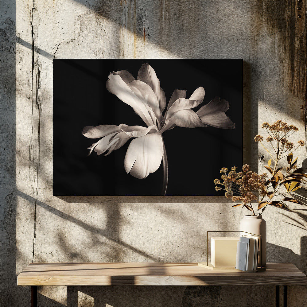 Tulip Exotic Emperor - Poster / Art Print - interiör