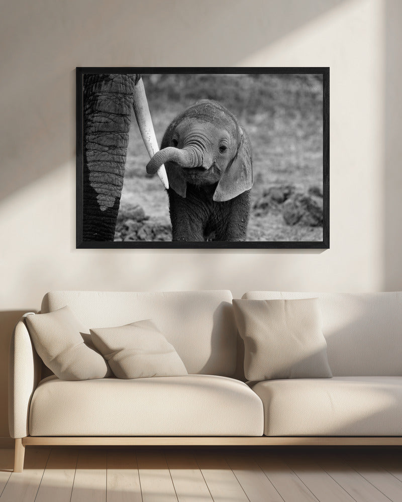 Close - Poster / Art Print - interiör