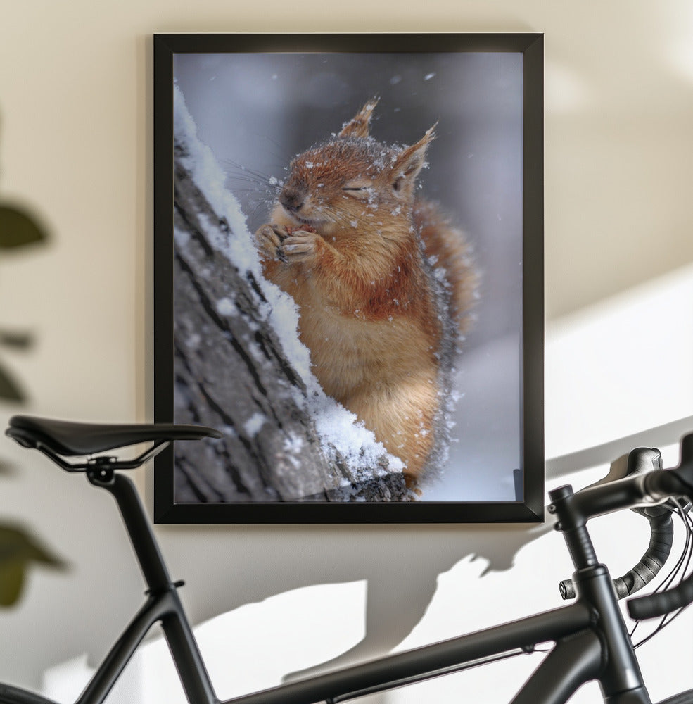 winter - Poster / Art Print - interiör