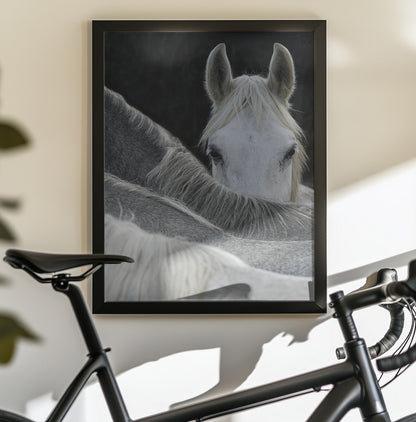Look - Poster / Art Print - interiör