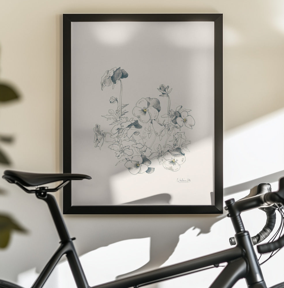 Pansies pencil drawing - Poster / Art Print - interiör