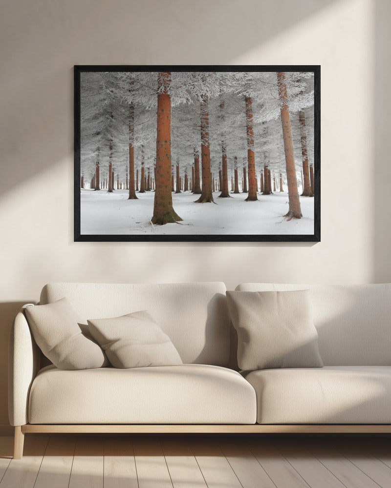 In White - Poster / Art Print - interiör