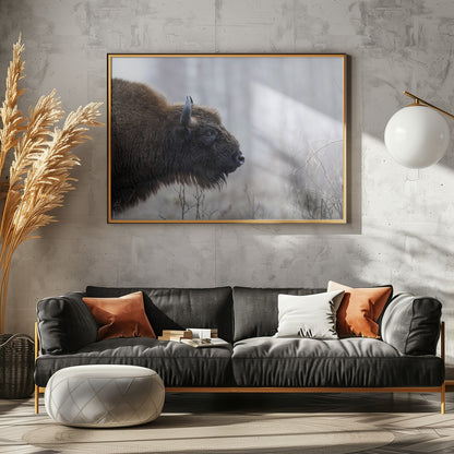 Bison's profile - Poster / Art Print - interiör