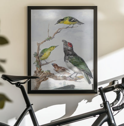 Four Different Birds On a Branch - Poster / Art Print - interiör