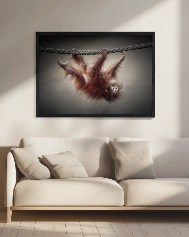 DON'T MURDER OUR PRIMEVAL FORESTS - Poster / Art Print - interiör