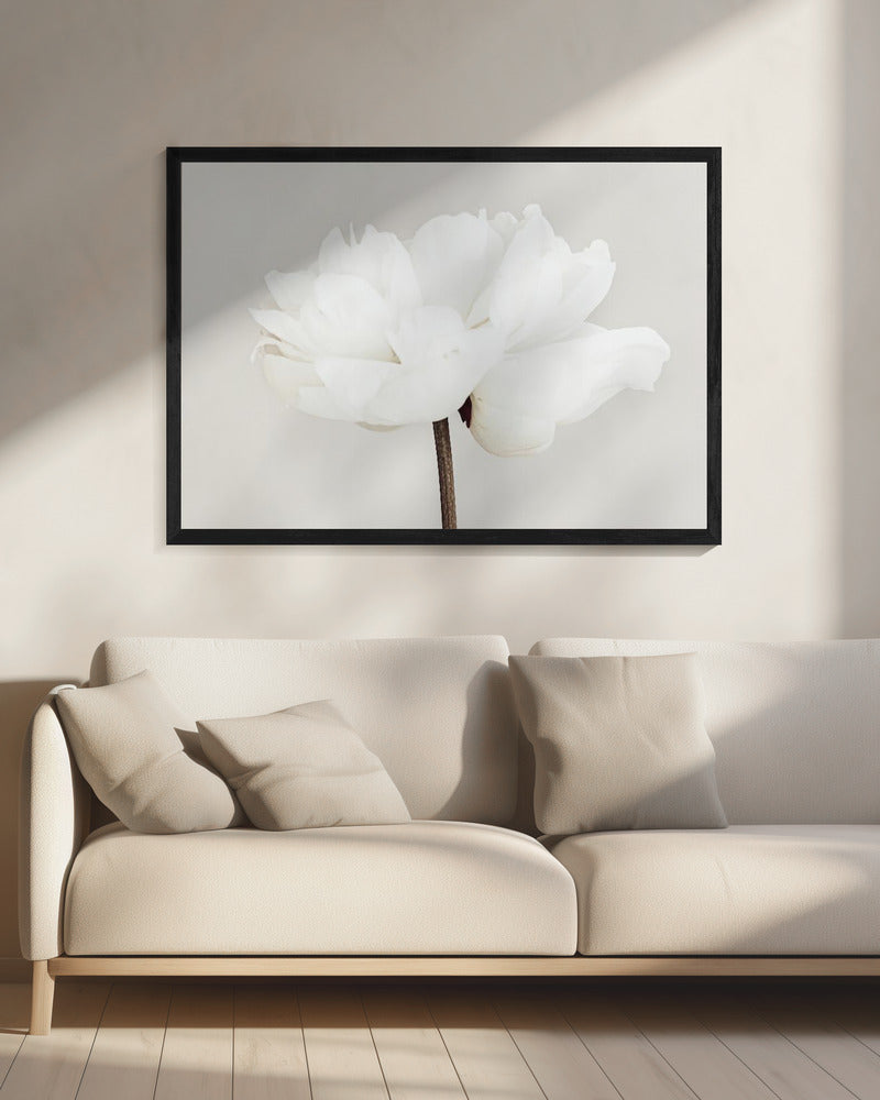 Peony 11 - Poster / Art Print - interiör