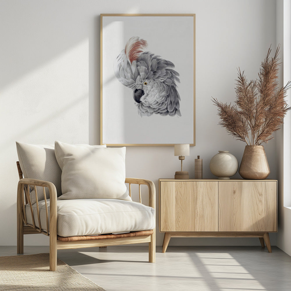 Cockatoo Head - Poster / Art Print - interiör