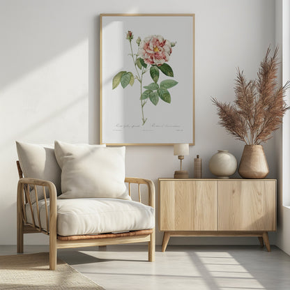 Rosa Gallica (1817–1824), Les Rose - Poster / Art Print - interiör