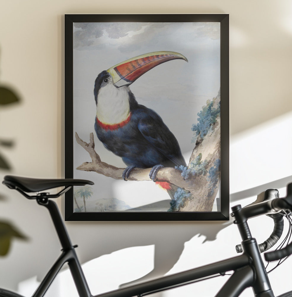 Red Billed Toucan - Poster / Art Print - interiör