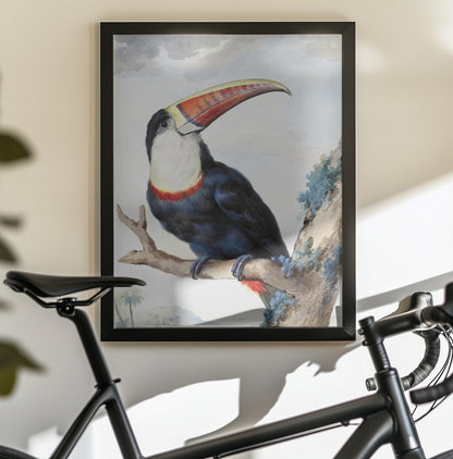 Red Billed Toucan - Poster / Art Print - interiör