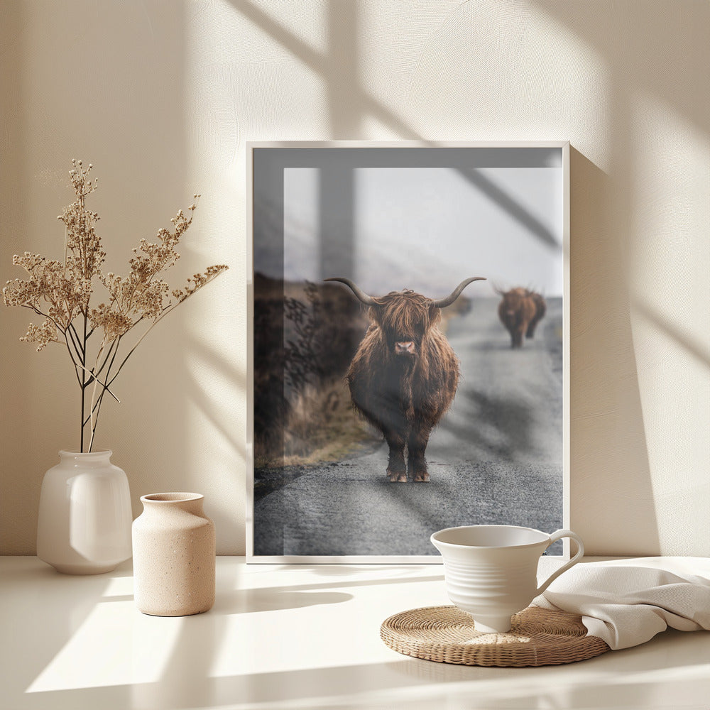 Cow - Poster / Art Print - interiör