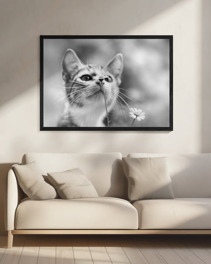 Curious - Poster / Art Print - interiör
