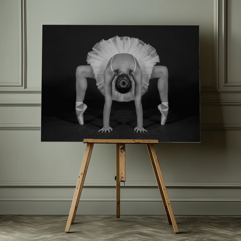 Control in Dance - Poster / Art Print - interiör