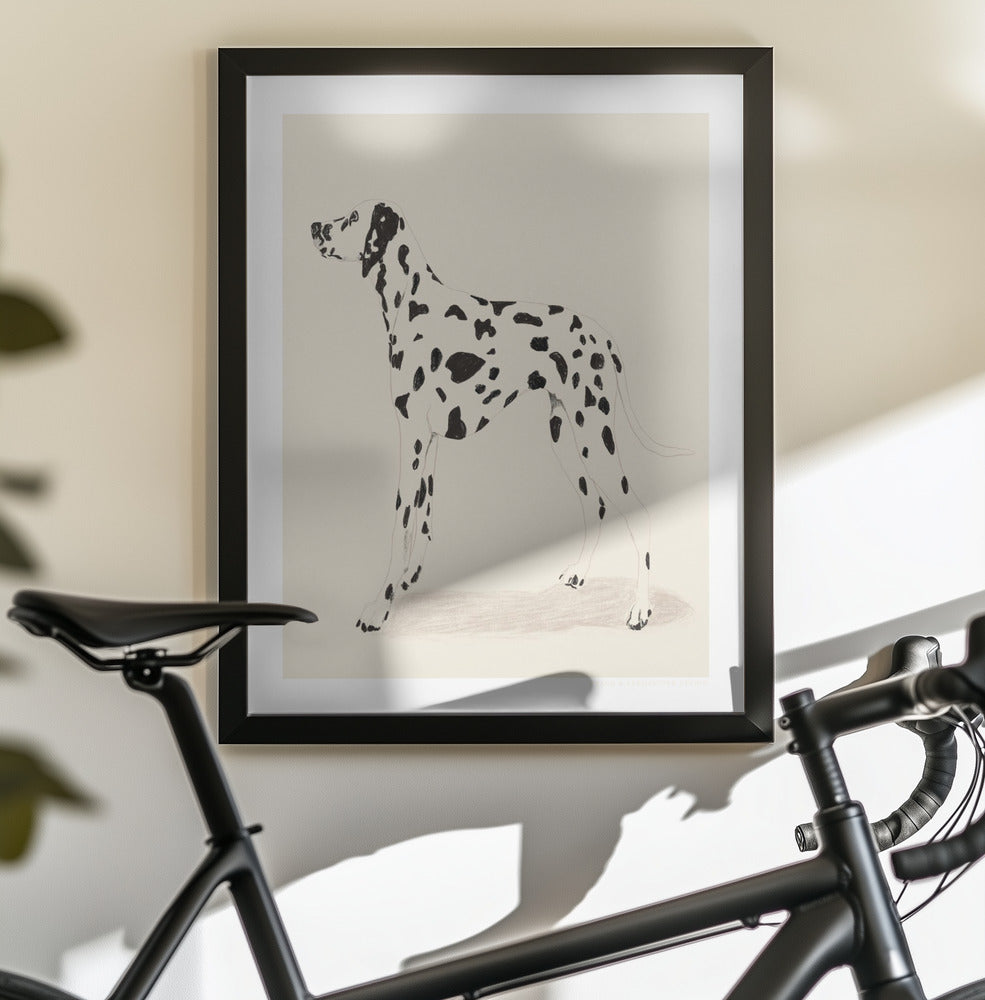 Pandc Dalmation - Poster / Art Print - interiör