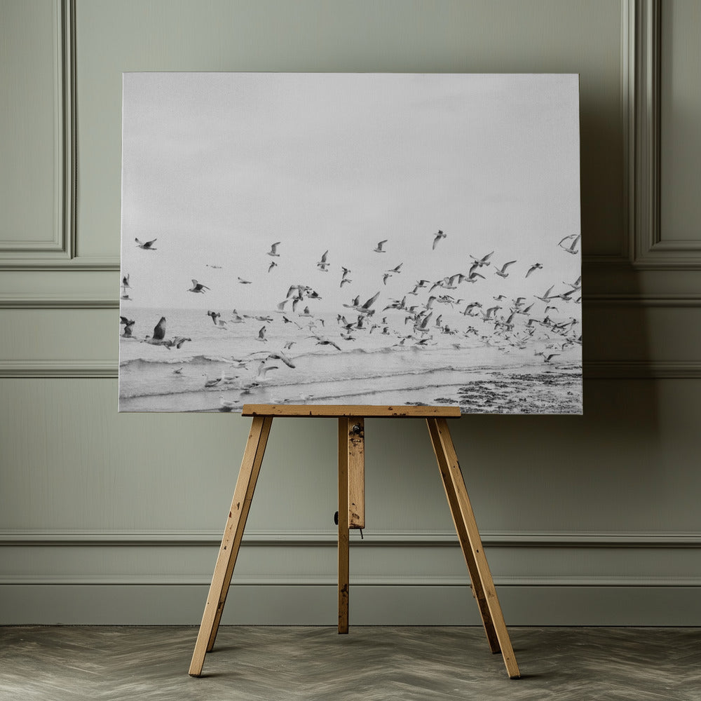 Seagulls - Coastal black and white - Poster / Art Print - interiör