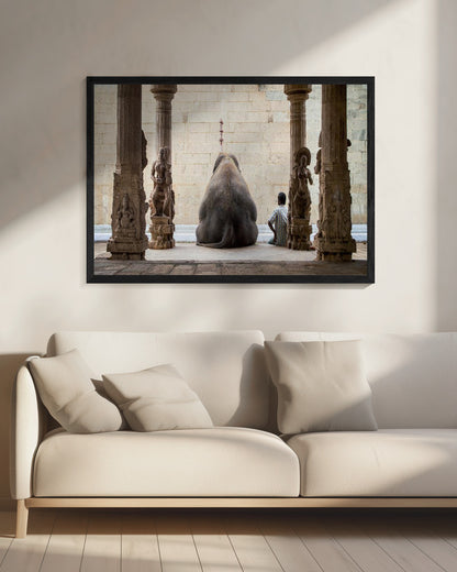 The Elephant &amp; its Mahot - Poster / Art Print - interiör