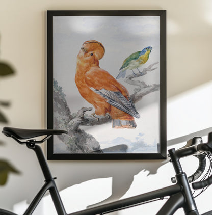 Two Exotic Birds - Poster / Art Print - interiör