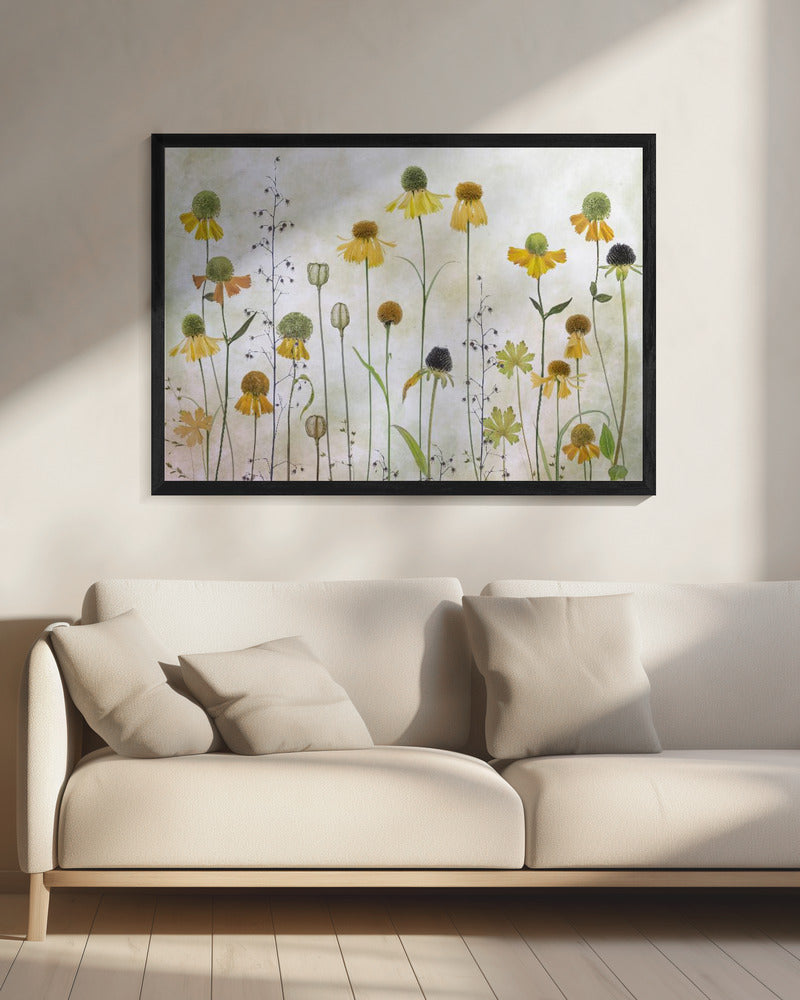 Helenium - Poster / Art Print - interiör