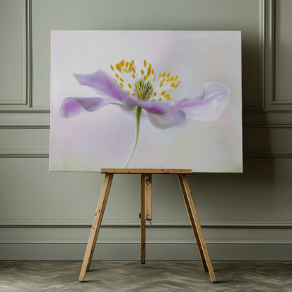 Wood Anemone - Poster / Art Print - interiör