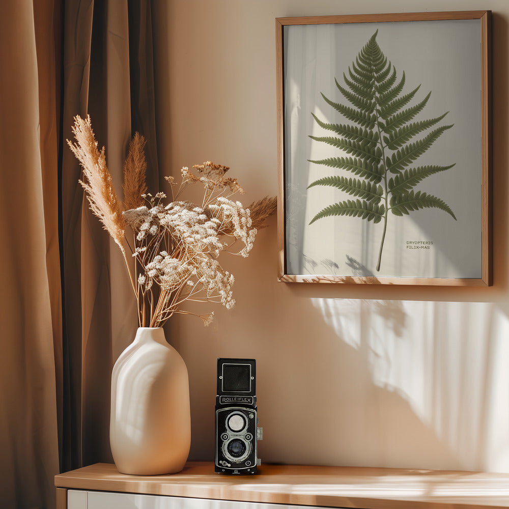 Dryopteris Filix Mas - Poster / Art Print - interiör