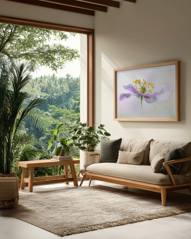 Wood Anemone - Poster / Art Print - interiör