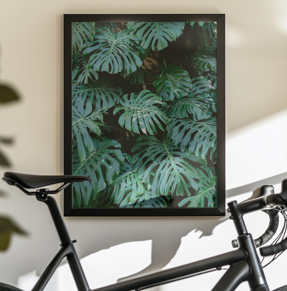 Monstera wall in Lisbon - Poster / Art Print - interiör
