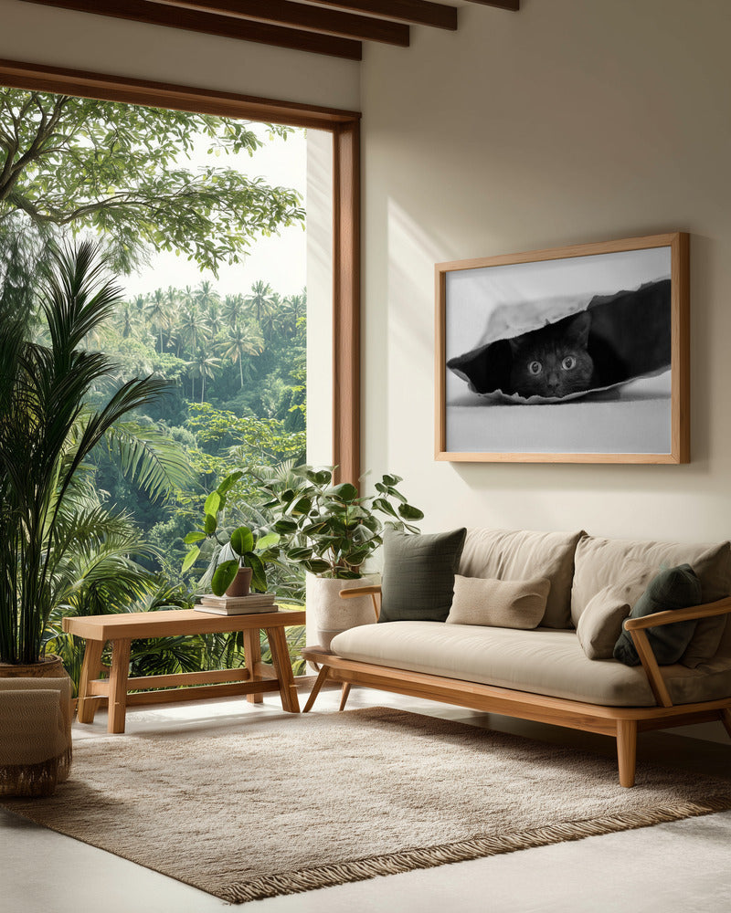 Cat in a bag - Poster / Art Print - interiör