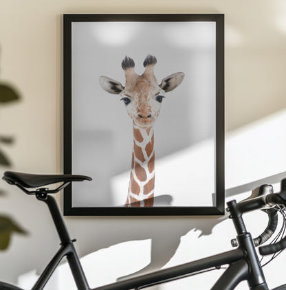 Baby Giraffe - Poster / Art Print - interiör