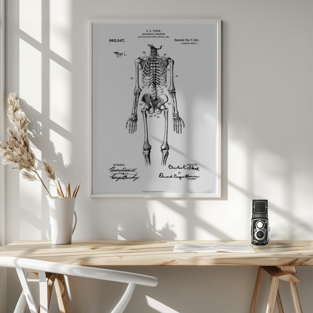Anatomical Skeleton Patent 1911 - Poster / Art Print - interiör
