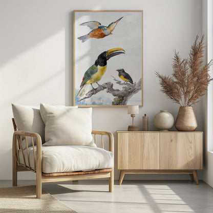 Three Birds  a Kingfisher, a Prince Von Wied's Toucan and an Sparrow - Poster / Art Print - interiör