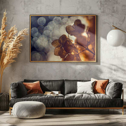 A beautiful light - Poster / Art Print - interiör