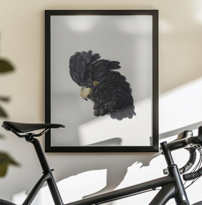 Head of a Cockatoo - Poster / Art Print - interiör