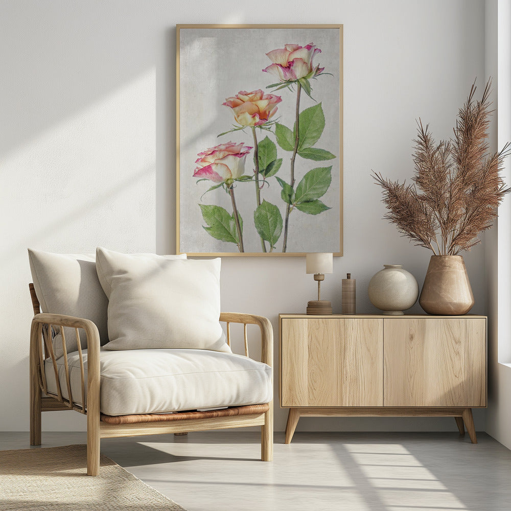 Roses - Poster / Art Print - interiör