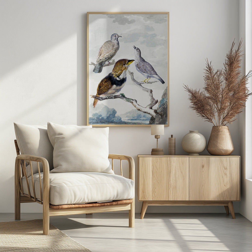 Three Birds, Two Inca Pigeons and a Collared Bearded Cuckoo - Poster / Art Print - interiör