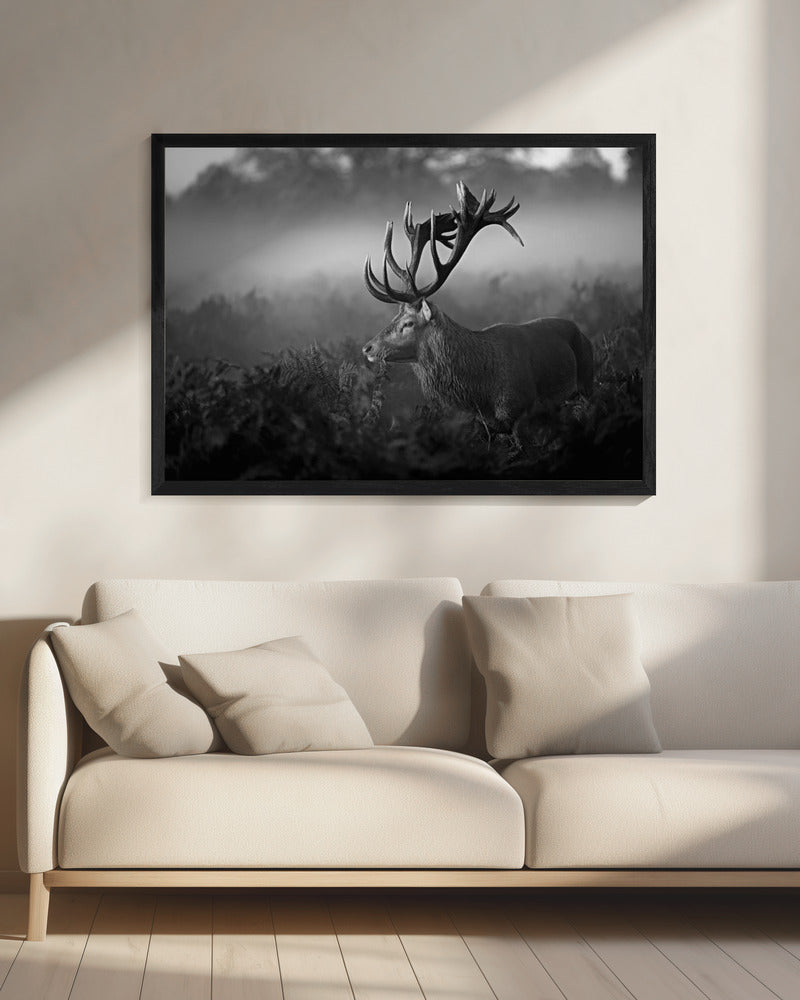 Sunny Morning - Poster / Art Print - interiör