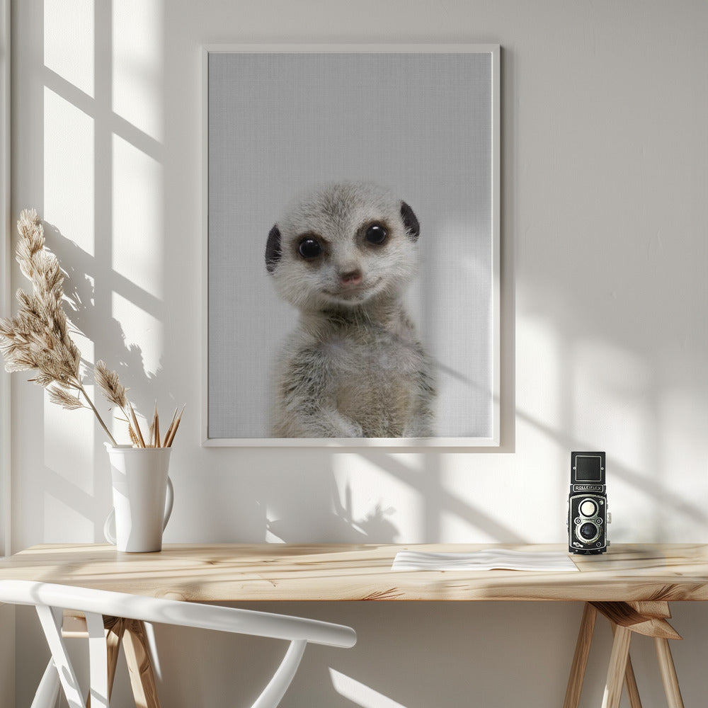 Peekaboo Baby Meerkat - Poster / Art Print - interiör