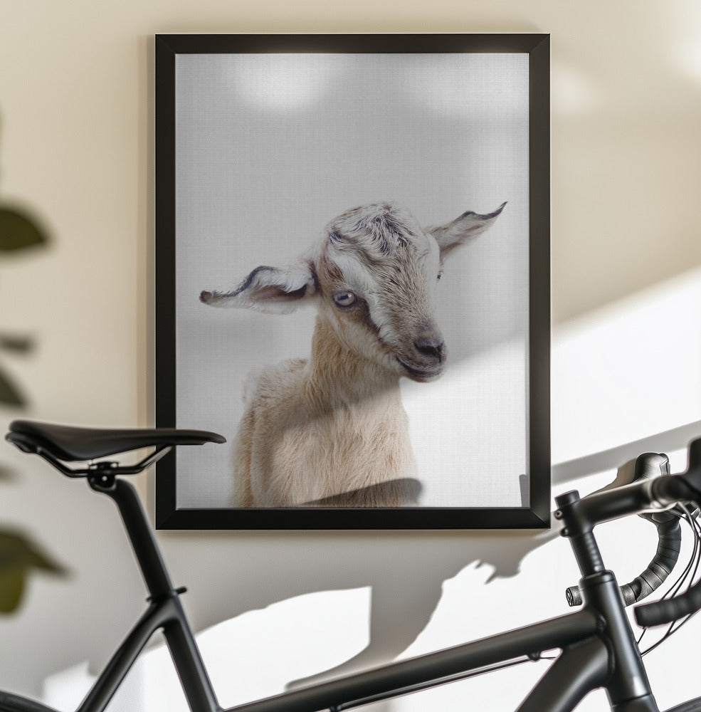 Peekaboo Baby Goat - Poster / Art Print - interiör