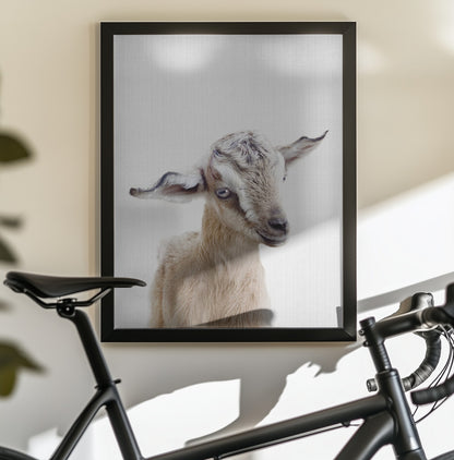 Peekaboo Baby Goat - Poster / Art Print - interiör