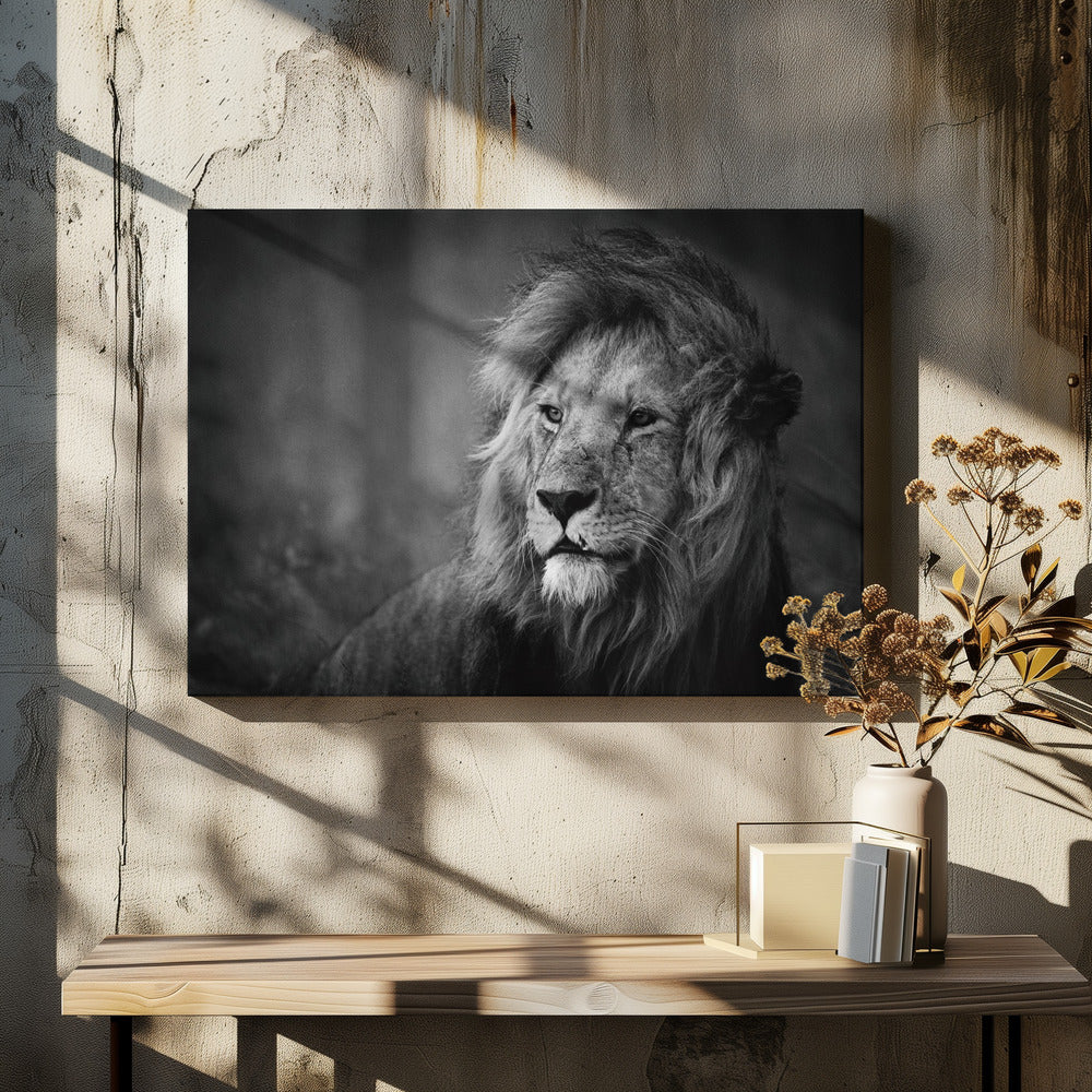 Regal - Poster / Art Print - interiör