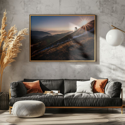 Last rays - Poster / Art Print - interiör