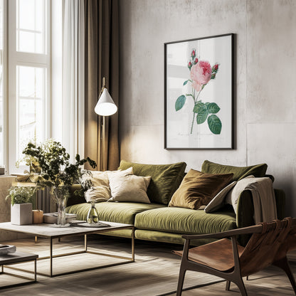 Rosier a Cent Feuilles, From Les Roses - Poster / Art Print - interiör
