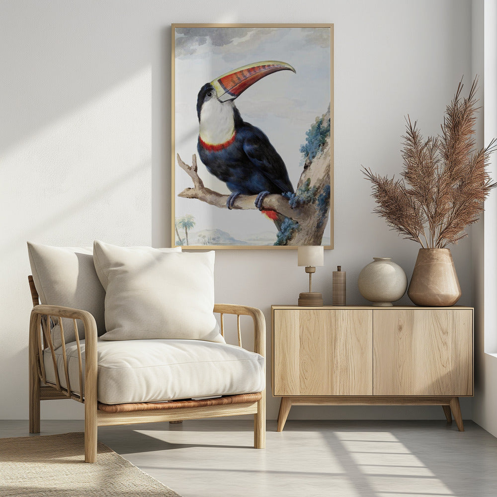 Red Billed Toucan - Poster / Art Print - interiör