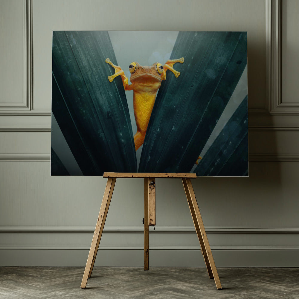 Gold Frog - Poster / Art Print - interiör