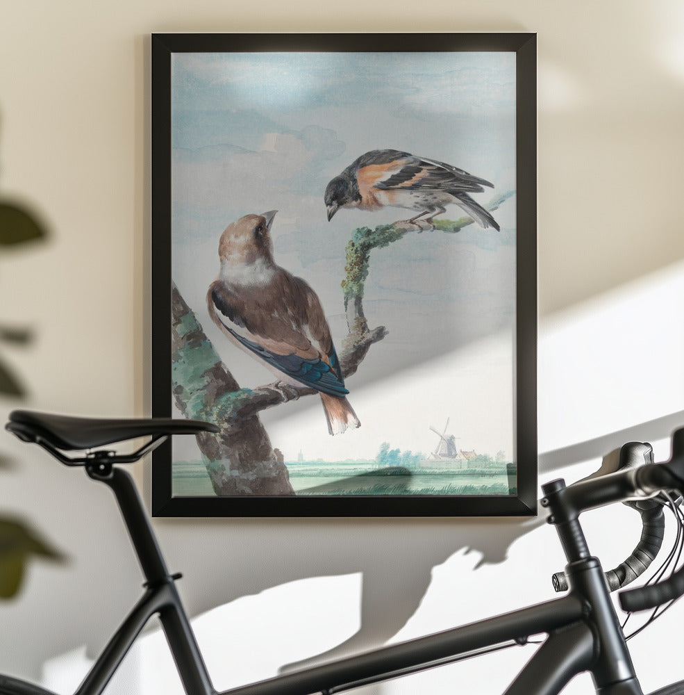 Two Birds  Hawfinch - Poster / Art Print - interiör