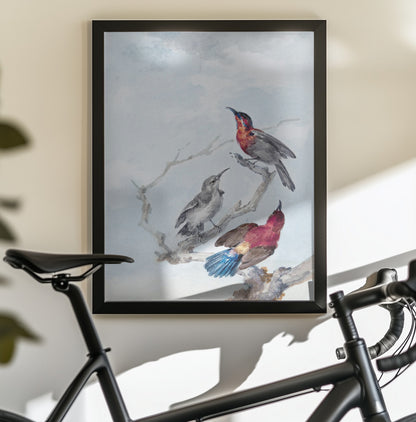 Three Crimson Sunbirds - Poster / Art Print - interiör