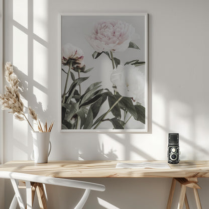 Peony 04 - Poster / Art Print - interiör