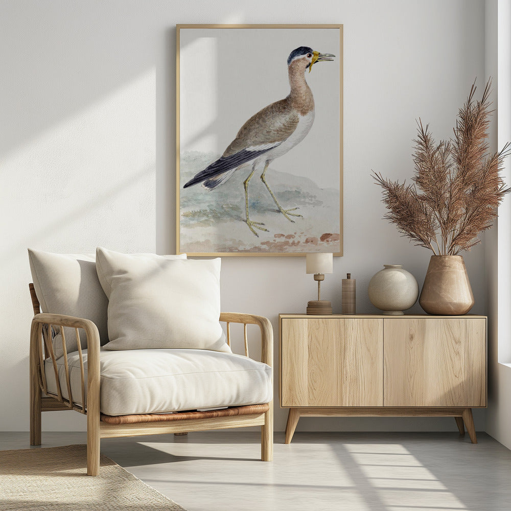 A Yellow Wattled Lapwing - Poster / Art Print - interiör